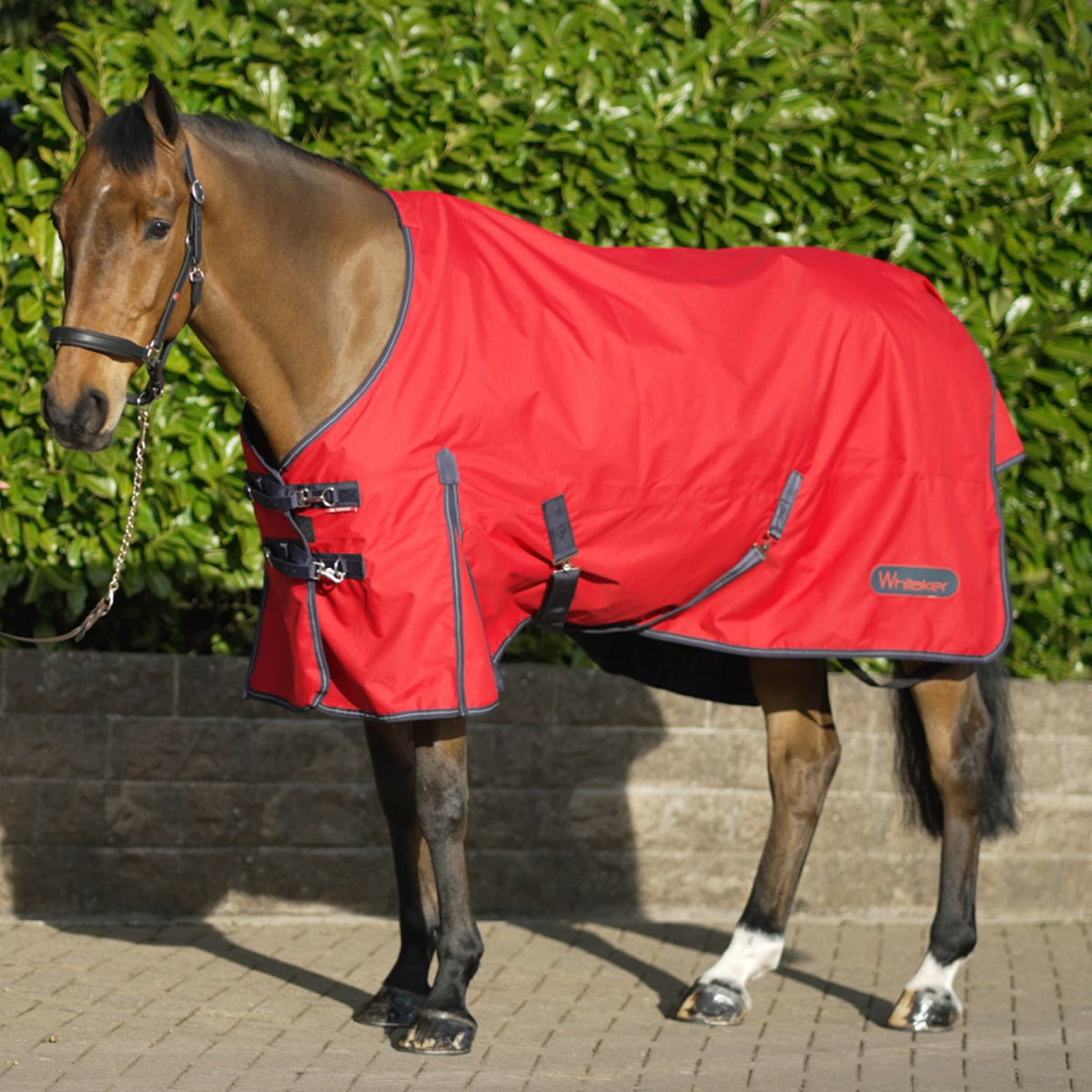 Rastrick 100g Lightweight Turnout Rug