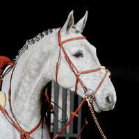 Valencia Super Deluxe Mexican Bridle with Reins